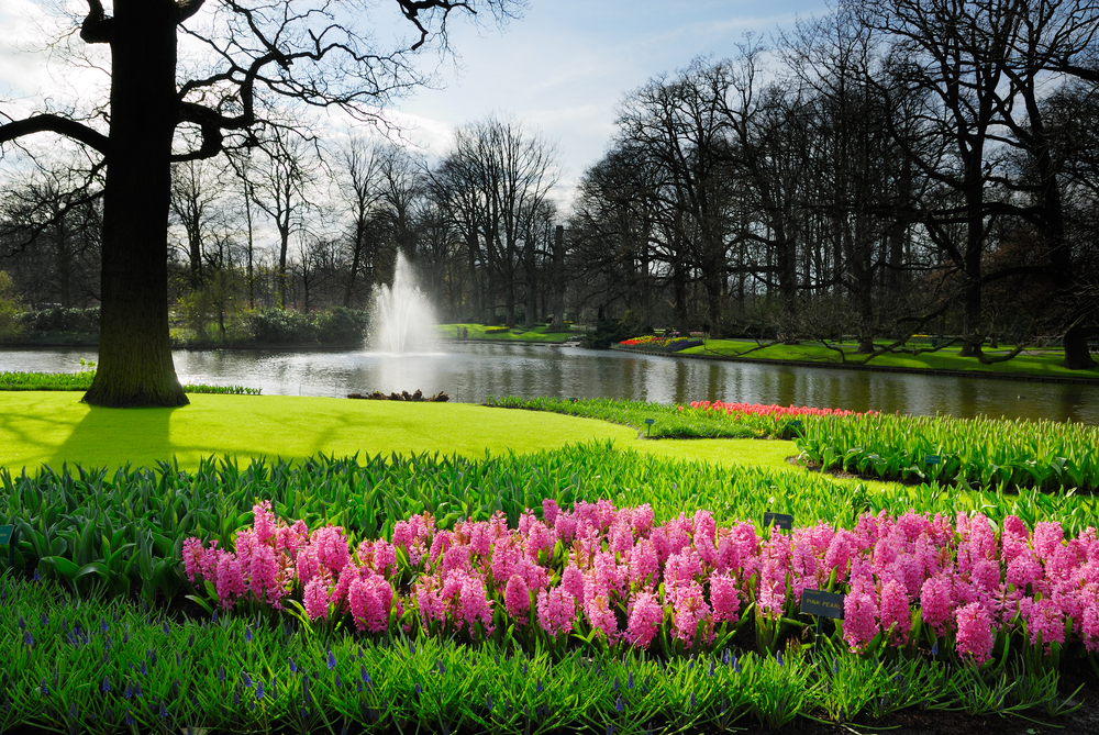 9-Lisse